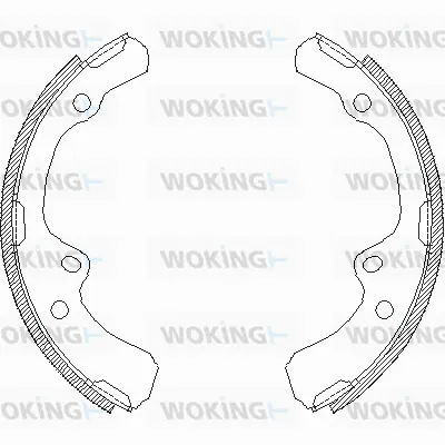 Brake Shoe (Z4391.00)