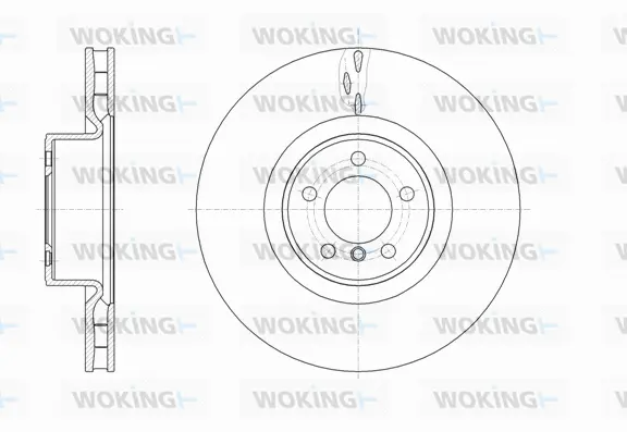 Brake Disc (D61661.10)