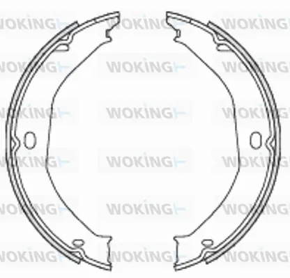 Brake Shoe, parking brake (Z4698.00)
