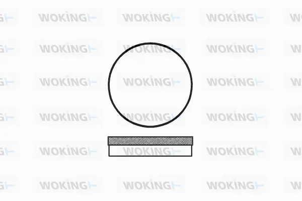 Brake Pad Set, disc brake (P1703.00)