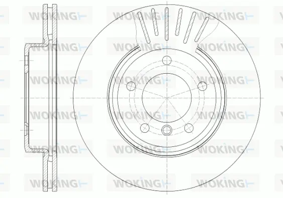 Brake Disc (D6589.10)