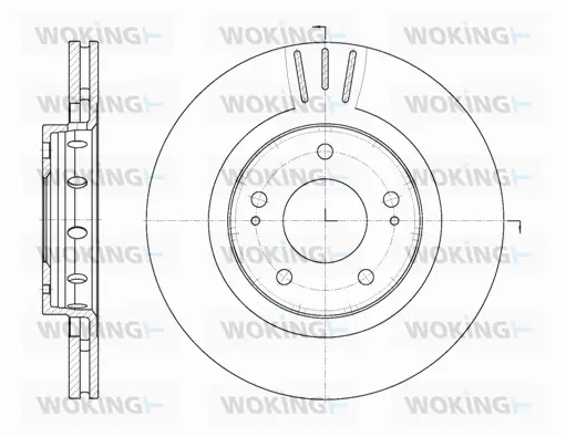 Brake Disc (D6896.10)