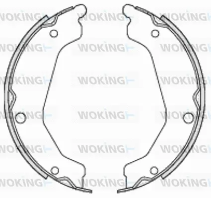 Brake Shoe, parking brake (Z4694.00)