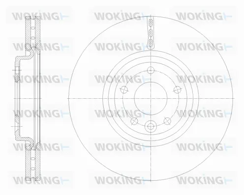 Brake Disc (D62132.10)