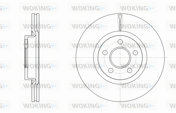 Brake Disc (D62561.10)
