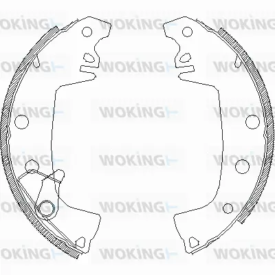 Brake Shoe (Z4655.01)