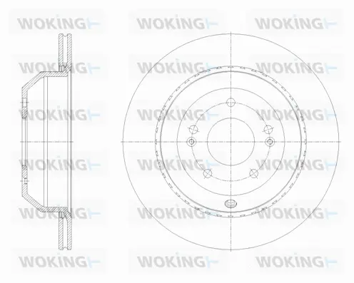 Brake Disc (D62123.10)