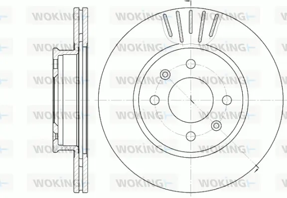 Brake Disc (D6666.10)