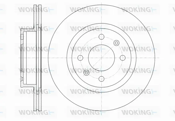 Brake Disc (D61365.10)