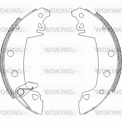 Brake Shoe (Z4017.06)