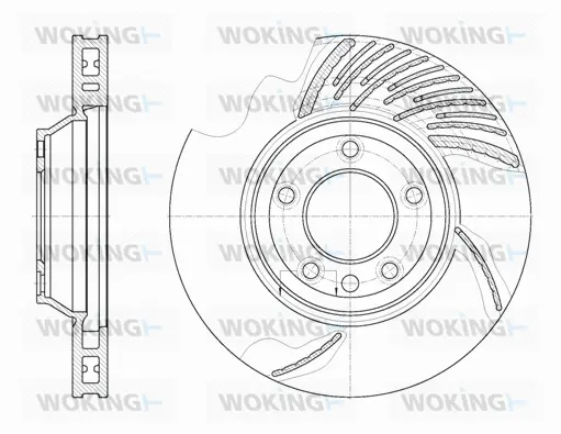 Brake Disc (D6769.11)