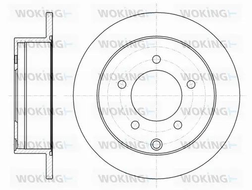 Brake Disc (D61377.00)