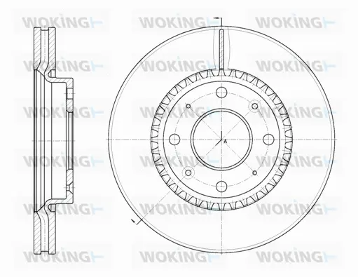 Brake Disc (D6889.10)