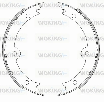 Brake Shoe, parking brake (Z4517.00)