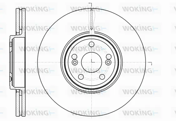 Brake Disc (D61234.10)