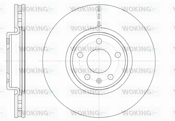 Brake Disc (D61543.10)