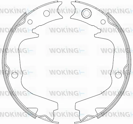Brake Shoe, parking brake (Z4519.00)