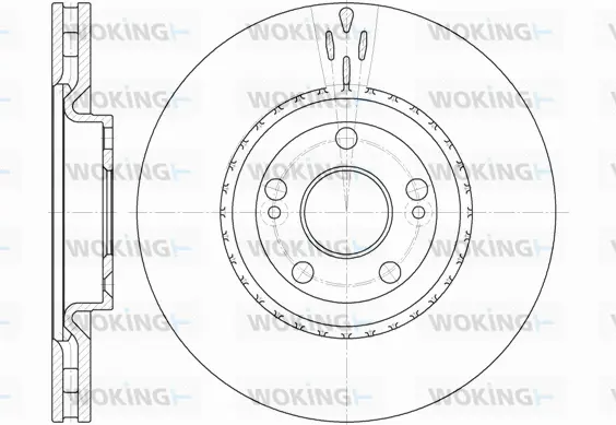 Brake Disc (D6696.10)