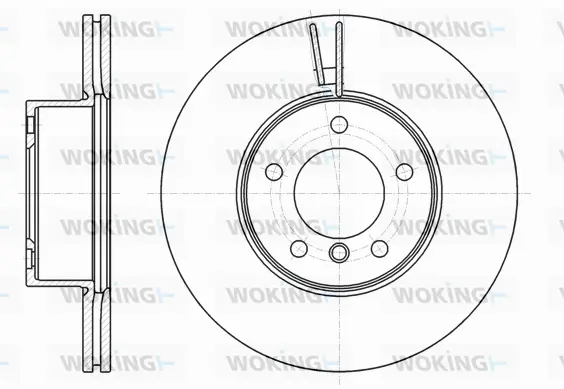 Brake Disc (D61194.10)