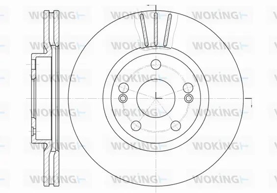 Brake Disc (D6301.10)