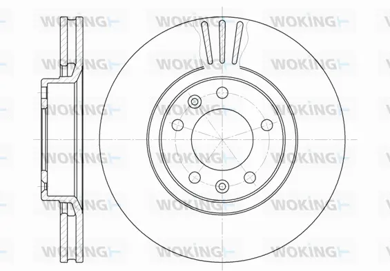 Brake Disc (D6307.10)