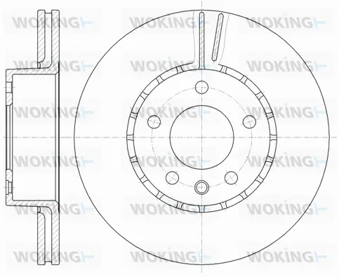 Brake Disc (D6300.10)