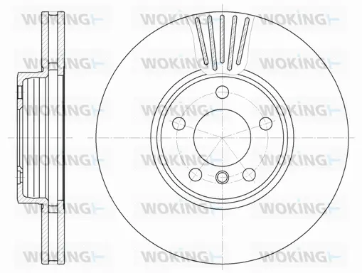 Brake Disc (D6600.10)
