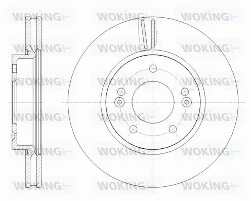 Brake Disc (D62080.10)