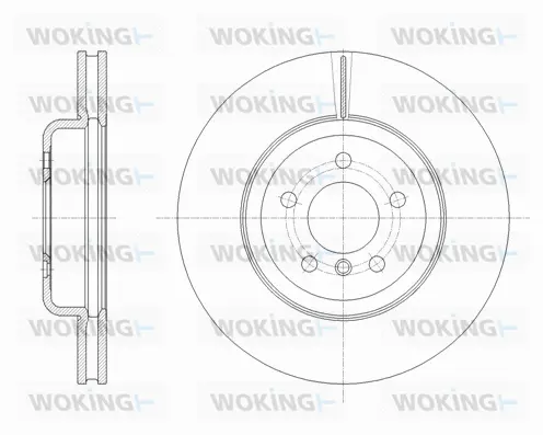 Brake Disc (D61842.10)