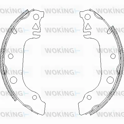 Brake Shoe (Z4029.00)
