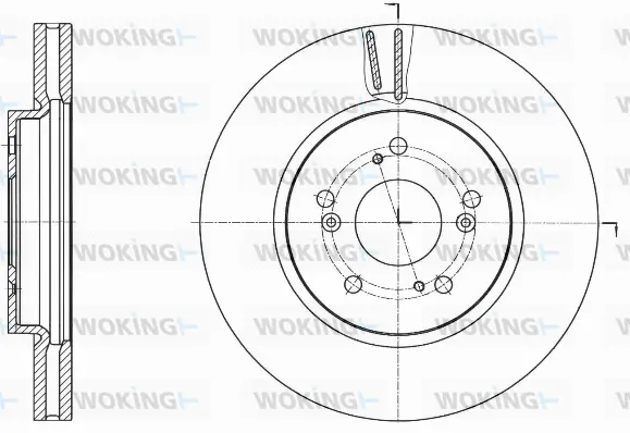 Brake Disc (D61643.10)