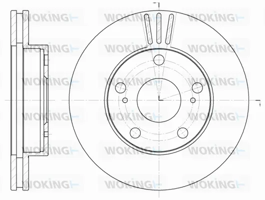 Brake Disc (D61976.10)