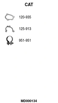 Catalytic Converter (MD000134)