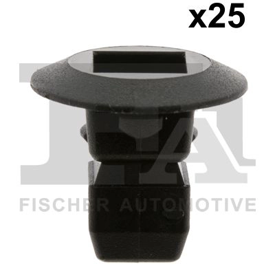 Clip, trim/protection strip