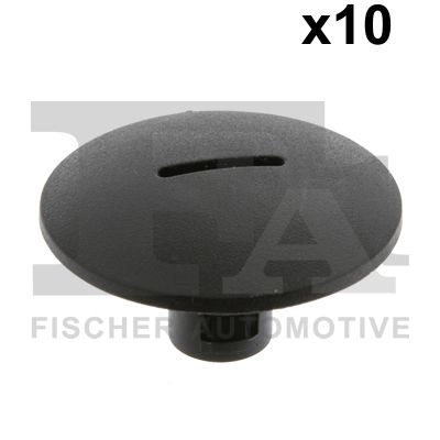 Clip, trim/protection strip