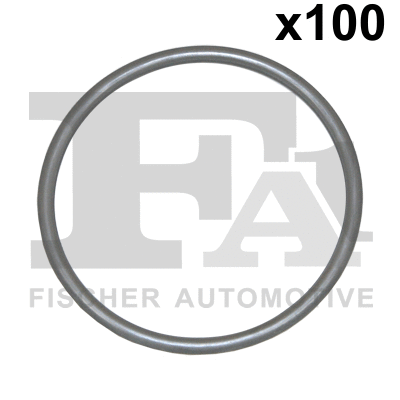 Seal Ring (076.376.100)