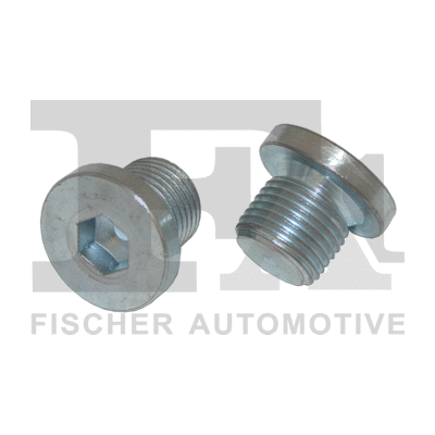 Screw Plug, oil sump (257.819.001)
