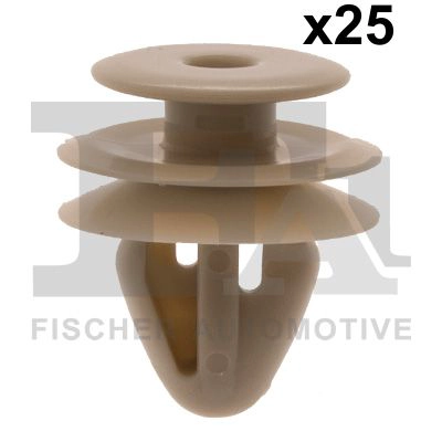 Clip, trim/protection strip