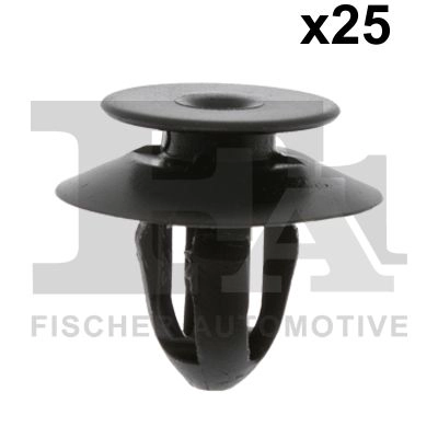 Clip, trim/protection strip