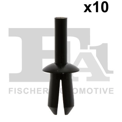 Clip, trim/protection strip