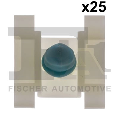 Clip, trim/protection strip