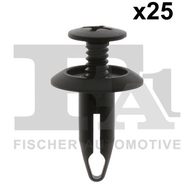 Clip, trim/protection strip