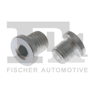 Screw Plug, oil sump (257.829.001)