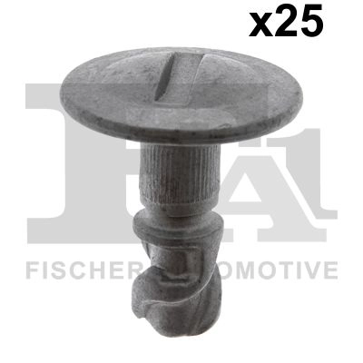 Clip, trim/protection strip