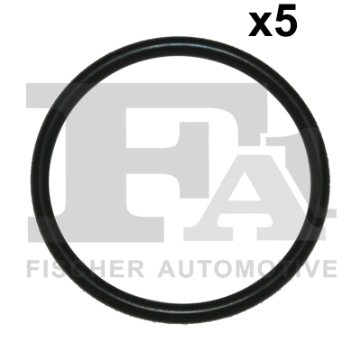 Seal Ring (924.641.005)