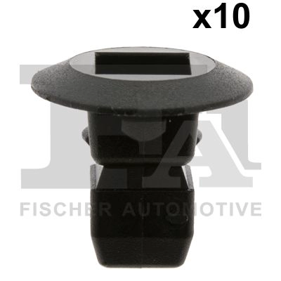 Clip, trim/protection strip