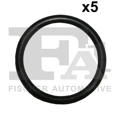 Seal Ring (076.401.005)