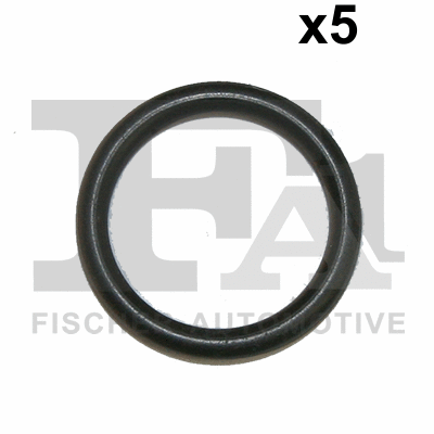 Seal Ring (076.355.005)