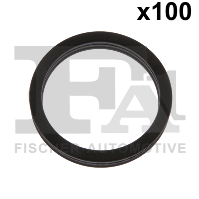 Seal Ring (076.567.100)