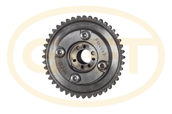 Chain Sprocket (PCKD066)